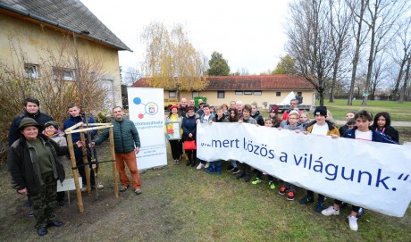 Jubileumi elismerést kapott Fehérvár a Virágos Magyarország Mozgalomtól